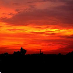 Silhouette of trees against dramatic sky