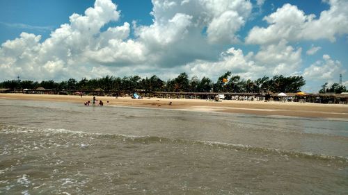 Trees on beach against sky