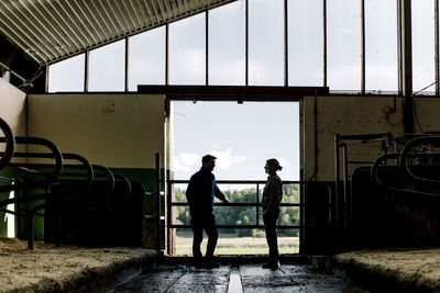 Farmers standing by door and discussing in cowshed