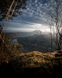 Scenic view of bare trees against sky during sunset