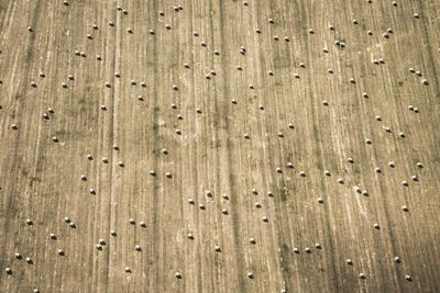 Full frame shot of farm