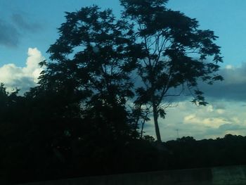 Silhouette tree against sky during sunset