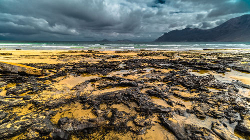 Scenic view of beach against sky