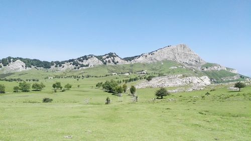 Scenic view of field against clear blue sky