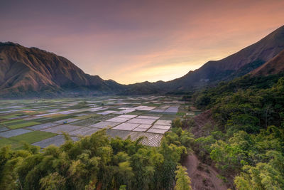 Scenic view of agricultural landscape against sky during sunset