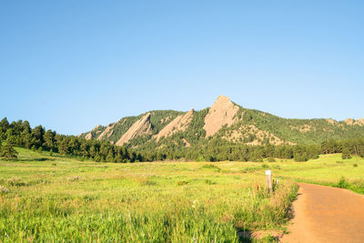 Scenic view of landscape against clear blue sky