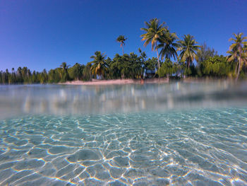 Scenic view of swimming pool against clear blue sky