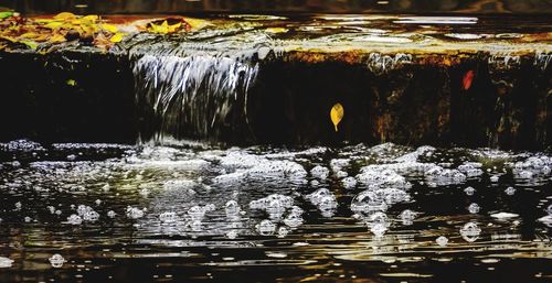 Close-up of water in pond