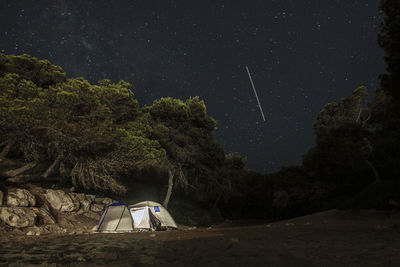 Low angle view of trees against sky at night