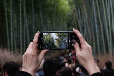 Midsection of woman photographing with mobile phone