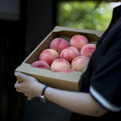 Close-up of hand holding peachs in box