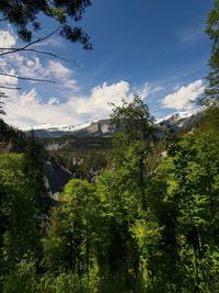 Scenic view of trees and mountains against sky