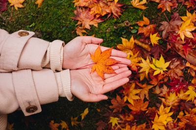 Cropped hands of woman holding maple leaf at public park during autumn