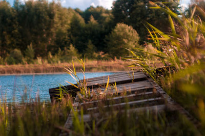 Scenic view of lake amidst trees