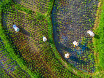 Full frame shot of tree