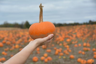 Close-up of hand holding pumpkin on field against sky