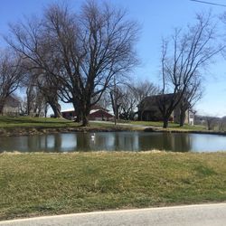 Reflection of trees in water against sky