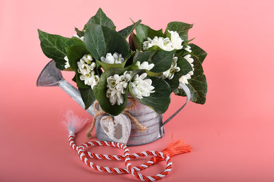 Close-up of plant with pink flowers against red background