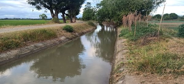 Scenic view of canal amidst field against sky