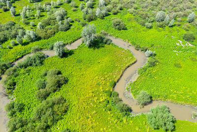 The sutla or sotla river, a border of croatia and slovenia