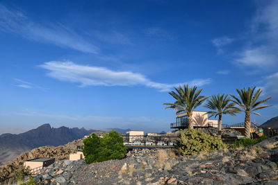 Palm trees and buildings against blue sky