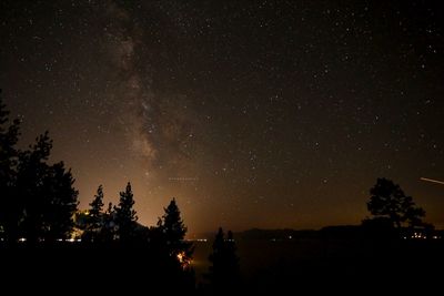 Silhouette trees against star field at night