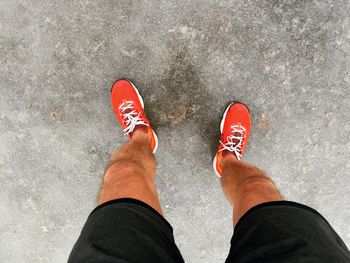 shoe