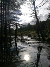 Scenic view of lake in forest against sky