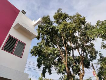 Low angle view of trees and building against sky