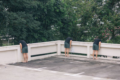 Rear view of a couple on tree