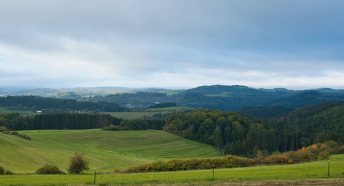 Scenic view of landscape against sky