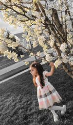 Full length of girl standing by cherry tree