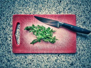 High angle view of chopped vegetables on cutting board