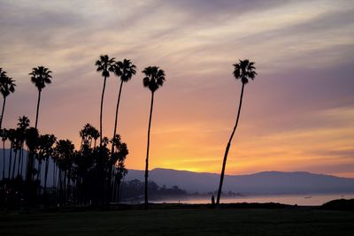 Silhouette palm trees against sky during sunset