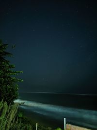 Beach sky night astrophotography in puerto rico with palm tree