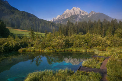 Lake zelenci, source of the sava dolinka river with the observation trail footbridge slovenia