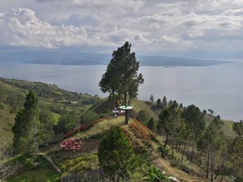 Scenic view of road by trees against sky