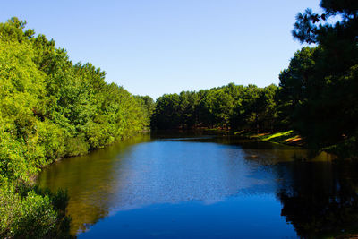 Scenic view of lake against clear blue sky