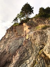 Low angle view of tree on cliff against sky