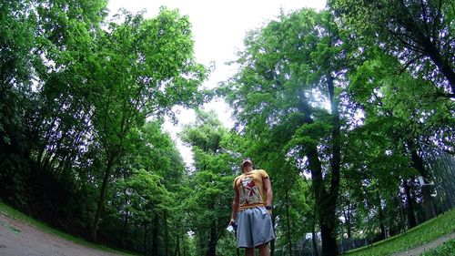 Rear view of woman standing by trees against sky