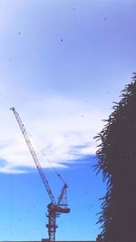 Low angle view of crane against sky