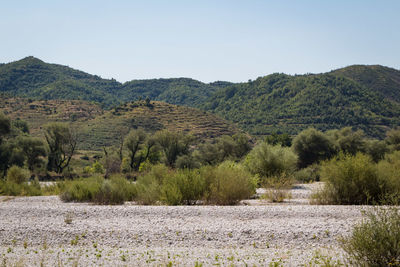 Scenic view of landscape against clear sky