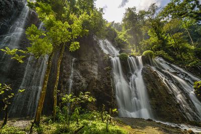 Scenic view of waterfall in forest