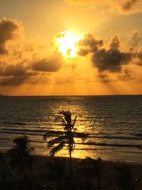 Silhouette palm tree on beach against sky during sunset