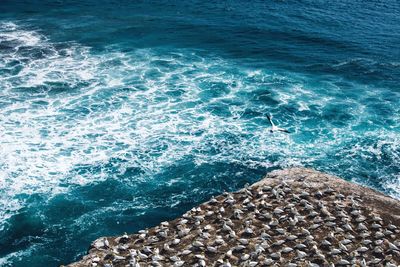 High angle view of sea