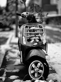 Close-up of car on road