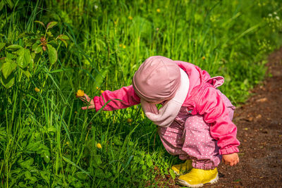 Little girl picks field flowers