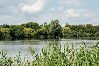 Scenic view of lake against sky