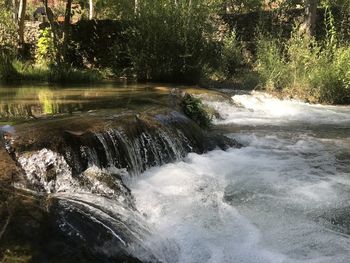 Scenic view of waterfall in forest