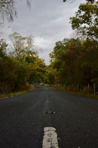 Road amidst trees against sky